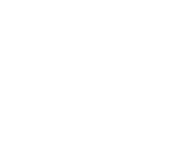 Cybervision- White logo