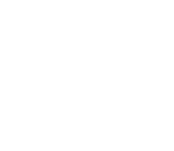 Founder Institute - Logo