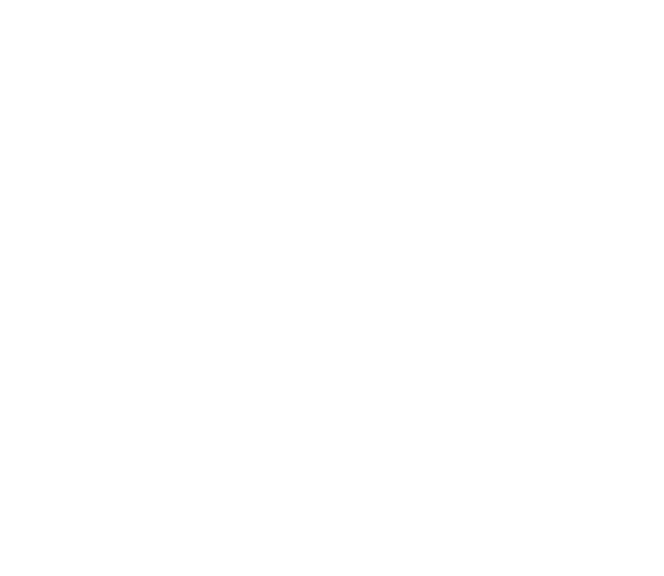 Hashoo Group - White logo